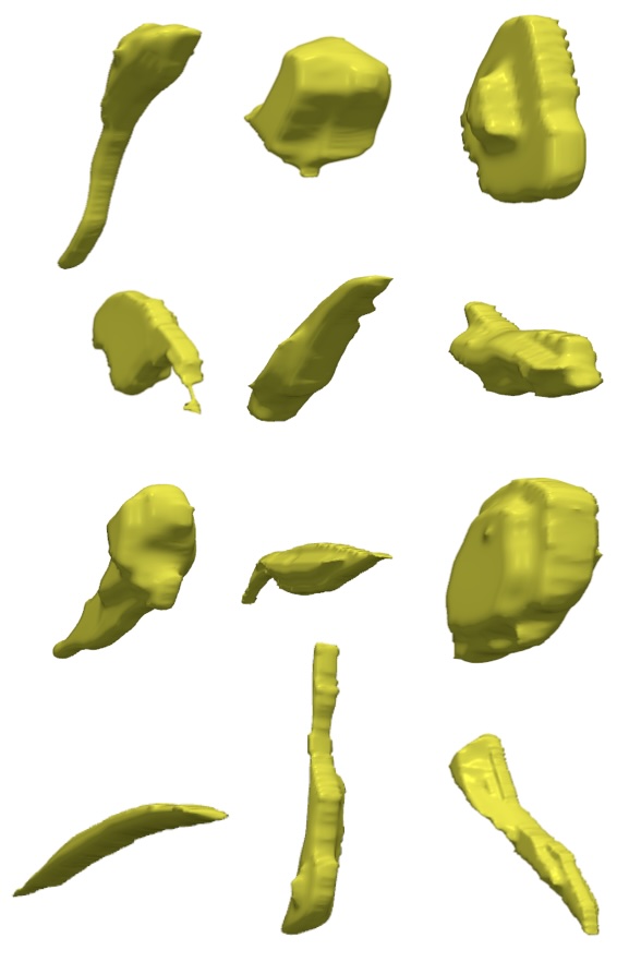 3D Macrophage Dataset