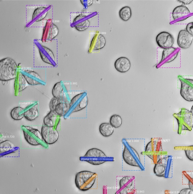 Crystals Dataset